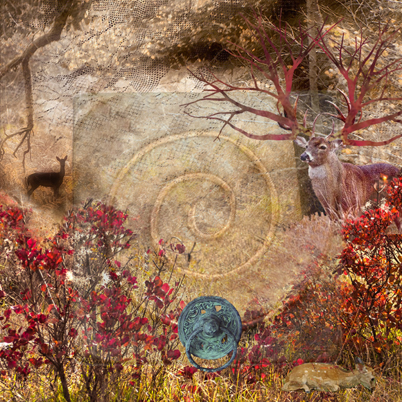 My dear, my deer, i shall guide you through eternal sphere
